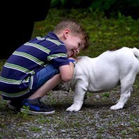 Human & Dog